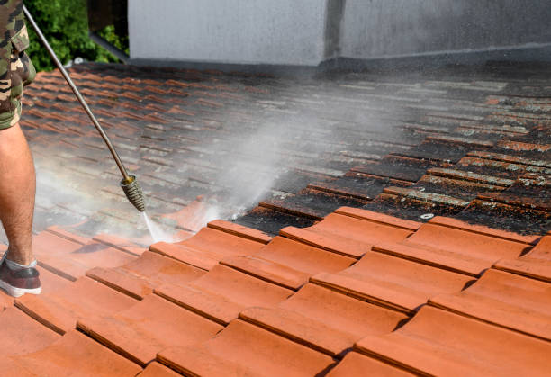 Best Concrete Pressure Washing  in Florissant, MO