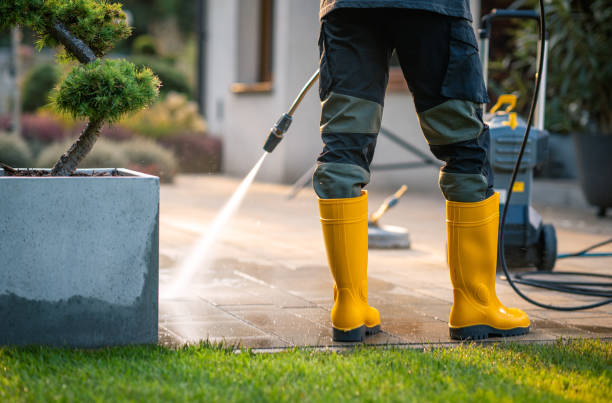 Best Affordable Pressure Washing  in Florissant, MO